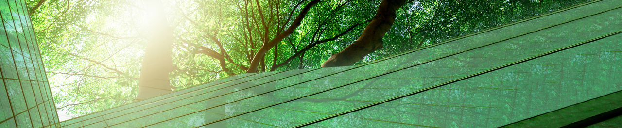Insights Page Header Increasing Trust In Esg Ratings Through Transparency 1820X375
