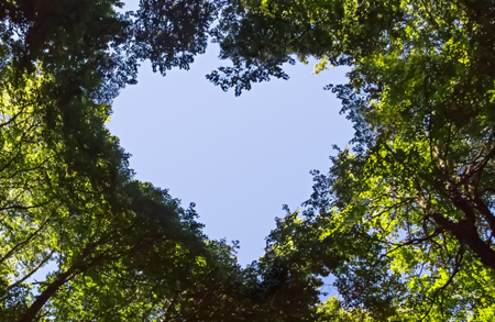 INSIGHTS – CAROUSEL – European ESG Template (EET) Data Live On Fundinfo 585X381