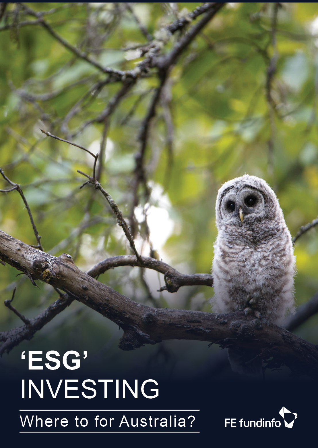 White Paper: ESG Investing - Where to for Australia?