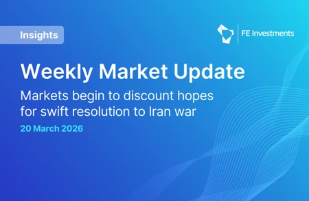 Insights Fei Website Teaser 2 (1)