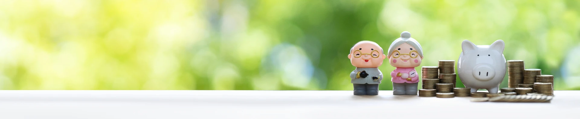 INSIGHTS – PAGE HEADER – The Real Enemy In Retirement Is Risk 1820X375