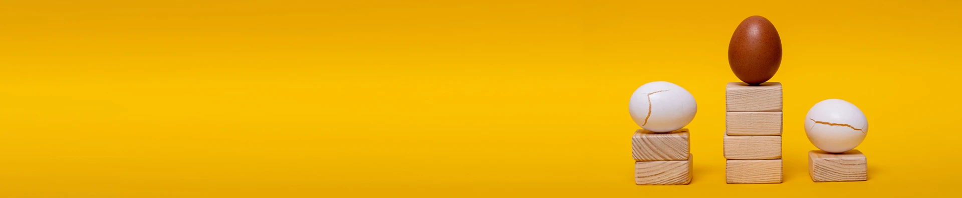 INSIGHTS – HEADERS – FE Analytics Data Unveils Summer 2023’S Winners And Losers For Sectors And Funds 1820X375