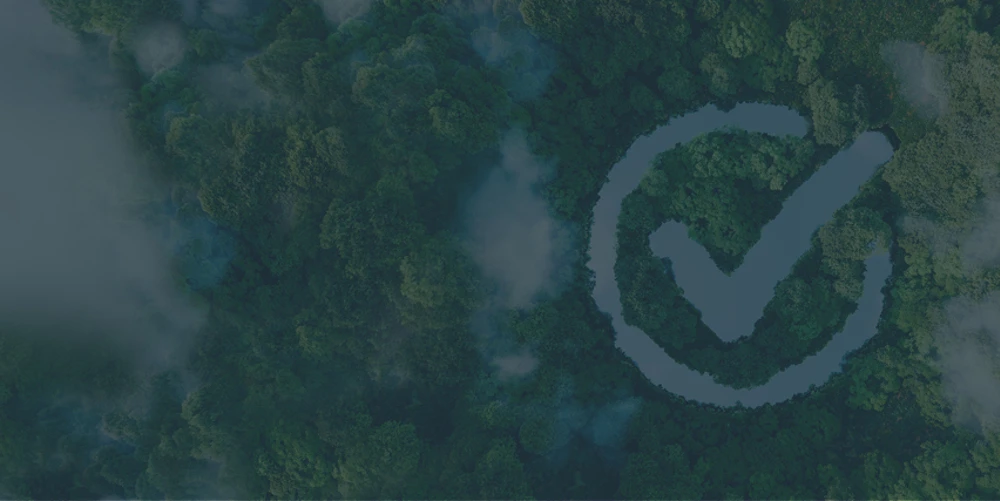 Related Solutions – Privacy Policy