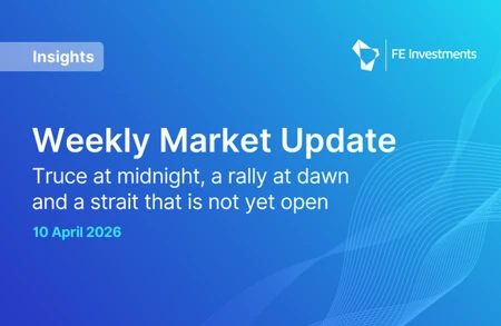 Insights Fei Website Teaser 1